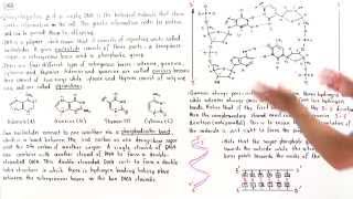 Introduction to DNA [upl. by Hereld885]