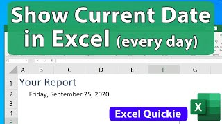 Show the Current Date Every Day in Excel or Time  Excel Quickie 65 [upl. by Nodnarg406]