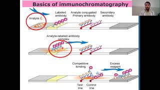 Immunochromatographic Assay or Technique I Guide to Immunochromatographic Assay [upl. by Trici886]