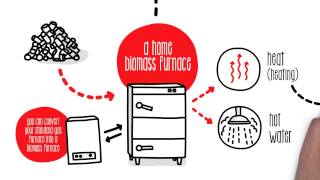 How does biomass work  Sustainability [upl. by Fernandez253]