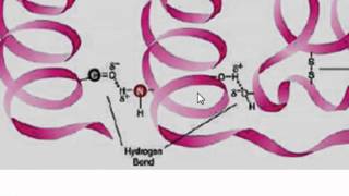 Estructura de las proteinas [upl. by Mundt]