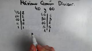 Máximo Común Divisor de 40 60  MCD [upl. by Nino745]