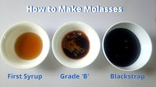 How to Make Molasses at Home  3 homemade grades of molasses [upl. by Recnal]