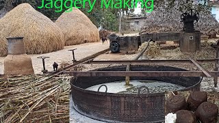 Traditional Jaggery Making Process  Jaggery Making Step By Step [upl. by Lib716]