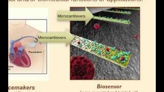 BioMEMS Applications Overview [upl. by Gibson]