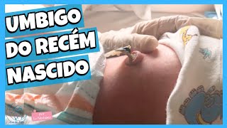 COMO CUIDAR DO UMBIGO DO BEBÊ  Cuidados com o coto umbilical de recém nascidos [upl. by Dor]