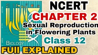 NCERT Ch2 Sexual Reproduction in Flowering plants class 12 Biology Full Explanation For BOARDSNEET [upl. by Imoin381]