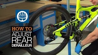 How to adjust rear derailleur [upl. by Nurat]