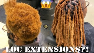 Loc Extension Tutorial Crochet Method [upl. by Nerrak]