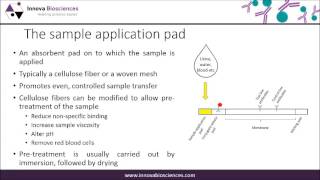 Lateral Flow Webinar A Guide to Lateral Flow Immunoassay Development [upl. by Sadler]