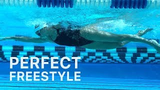 How To Swim Freestyle With Perfect Technique [upl. by Sundstrom849]