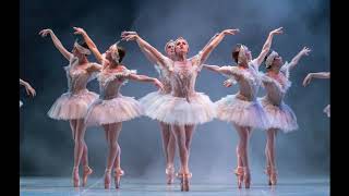 History of Ballet [upl. by Anelam]