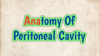 Anatomy of Peritoneal Cavity [upl. by Titania]