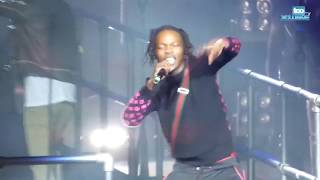 Naira Marley Live Performance [upl. by Ehav]