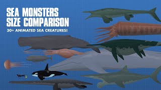 LARGEST SEA CREATURES  ANIMATED Size Comparison Sea Monsters [upl. by Lisabet]