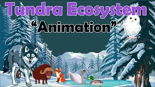 TUNDRA ECOSYSTEM  Biology Animation [upl. by Ecnedurp129]