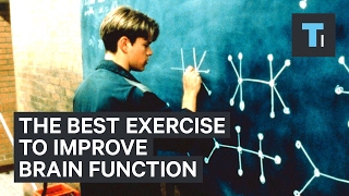 Neuroscientist explains the best exercise to improve brain function [upl. by Rudolfo799]