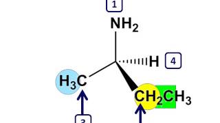 Organic Chemistry  Assigning Priority [upl. by Kcirdet491]