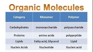 Organic Molecules amp Carbohydrates honors biology updated [upl. by Craven]