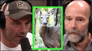 Joe Rogan  Wildlife Biologist on Deadly Deer Disease [upl. by Odnalor]