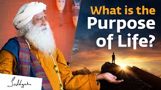 What is the Purpose of Life  Sadhguru [upl. by Cowden]