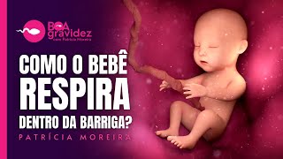 COMO O BEBÊ RESPIRA DENTRO DA BARRIGA Como que ele não se afoga  Boa Gravidez [upl. by Hakceber]