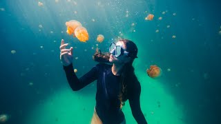 The Most Beautiful Free Diving in the World [upl. by Eutnoj]