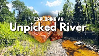 Unpicked River full of Treasure  Finding Lake Superior Agates Amethyst Jasper amp Other Minerals [upl. by Restivo]