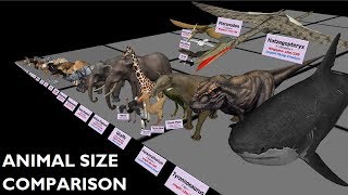 Animal Size Comparison 3D [upl. by Yenitirb]