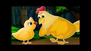 El cuento del pollito  Cuentos infantiles [upl. by Hach]