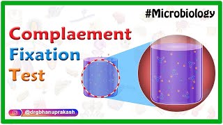 Complement Fixation test  Microbiology animations [upl. by Born]