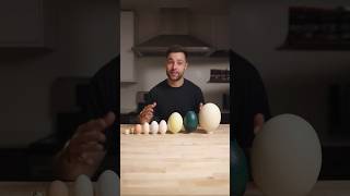 I Cooked the World’s CRAZIEST Eggs [upl. by Jaehne]