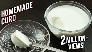 Homemade Curd Recipe  Tips amp Tricks To Make Curd At Home  Basic Cooking  Ruchi [upl. by Cardew526]