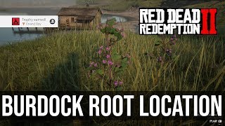 Kierans Burdock Root Location Errand Boy Trophy  Red Dead Redemption 2 [upl. by Welton695]