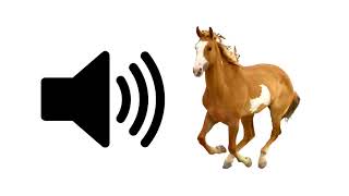 Horse  Sound Effect [upl. by Otrevogir]