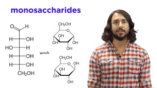 Carbohydrates Part 1 Simple Sugars and Fischer Projections [upl. by Ilatfan]