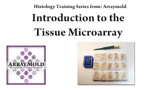 How To Create A Tissue Microarray Block [upl. by Euqinomahs]