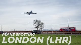 PLANE SPOTTERS HAEVEN  Myrtle Avenue  LONDON HEATHROW [upl. by Clim]