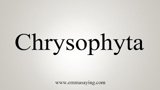 How To Say Chrysophyta [upl. by Dnalevelc645]