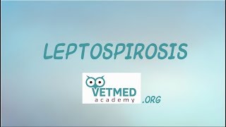 Introduction to Leptospirosis [upl. by Henrion]