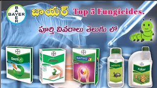 Bayer Top 5 FungicidesతెలుగులోMana kisan మన రైతు [upl. by Aissert]