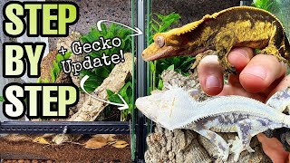 HOW TO SETUP A CRESTED GECKO VIVARIUM  GECKO UPDATE [upl. by Neiviv]