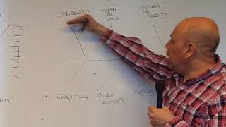 DIAGRAMA DE ISHIKAWA [upl. by Mcnutt861]