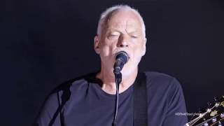 David Gilmour Wish You Were Herequot Live at Pompeii 2016 [upl. by Schroth]