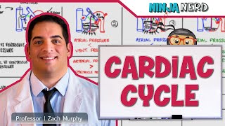 Cardiovascular  Cardiac Cycle [upl. by Llertnov14]