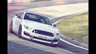 SCREAMING EXHAUST GT350 Nürburgring [upl. by Adiasteb275]