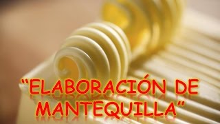 PROCESO DE ELABORACIÓN DE MANTEQUILLA  ProcesosProductivos [upl. by Nahtannhoj69]