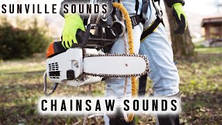 Chainsaw  Amazing Sounds with Peter Baeten [upl. by Caesaria]