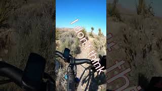 I love Mountain Biking in Vegas [upl. by Joktan]