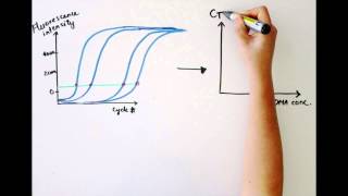 Analyzing Quantitative PCR Data [upl. by Eugirne]